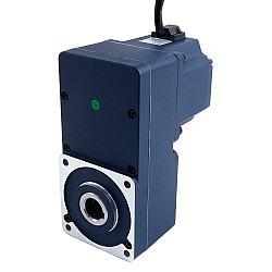 기어드 BLDC 모터 48V 250W 20RPM 70.00Nm(9912.82oz.in) 150:1 중공축 병렬 기어박스