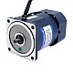 60W 110VAC 60Hz 18-310RPM 1.43Nm(202.50oz.in) 플랜지 90mm 스퍼 기어박스 단상 AC 가변 속도 모터 - 5IK60RGN-AF/5GN5K | StepperOnline