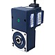 24V 60W 20RPM 21.00Nm(2973.84oz.in) 150:1 기어드 브러시리스 DC 모터 중공축 병렬 기어박스 - F4B60-24GL-30S/4GL150RC | StepperOnline UK
