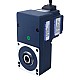 24V 60W 100RPM 4.20Nm(594.77oz.in) 30:1 기어드 브러시리스 DC 모터 중공축 병렬 기어박스 - F4B60-24GL-30S/4GL30RC | StepperOnline UK
