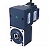 기어드 BLDC 모터 24V 150W 100RPM 10.50Nm(1486.92oz.in) 30:1 중공축 병렬 기어박스