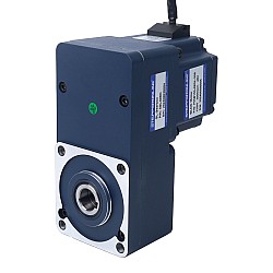 기어드 BLDC 모터 48V 150W 100RPM 10.50Nm(1486.92oz.in) 30:1 중공축 병렬 기어박스
