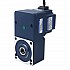 기어드 BLDC 모터 48V 150W 100RPM 10.50Nm(1486.92oz.in) 30:1 중공축 병렬 기어박스