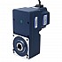 기어드 BLDC 모터 48V 250W 20RPM 70.00Nm(9912.82oz.in) 150:1 중공축 병렬 기어박스