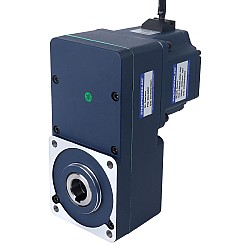 기어드 BLDC 모터 48V 250W 100RPM 20.00Nm(2832.23oz.in) 30:1 중공축 병렬 기어박스