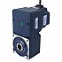 기어드 BLDC 모터 48V 250W 100RPM 20.00Nm(2832.23oz.in) 30:1 중공축 병렬 기어박스