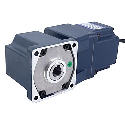 24V 150W 300RPM 기어드 BLDC 모터 3.41Nm(483.00oz.in) 10:1 직각 기어박스