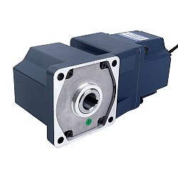 24V 200W 300RPM 기어드 BLDC 모터 4.53Nm(640.96oz.in) 10:1 직각 기어박스
