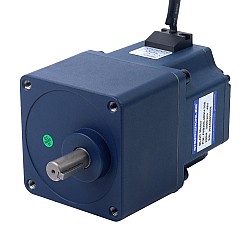 24V 200W 30RPM 기어드 BLDC 모터 40.00Nm(5664.48oz.in) 100:1 스퍼 기어박스