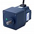 24V 200W 30RPM 기어드 BLDC 모터 40.00Nm(5664.48oz.in) 100:1 스퍼 기어박스