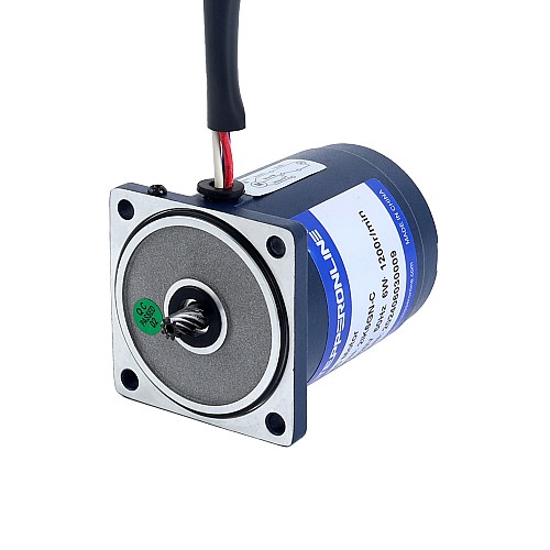 단상 220VAC 6W 50Hz 플랜지 60mm 기어비 10:1 스퍼 기어박스 AC 유도 전동기