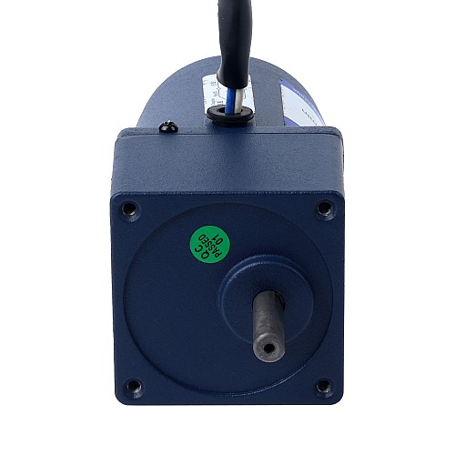 단상 110VAC 6W 60Hz 플랜지 60mm 기어비 200:1 스퍼 기어박스 AC 유도 전동기