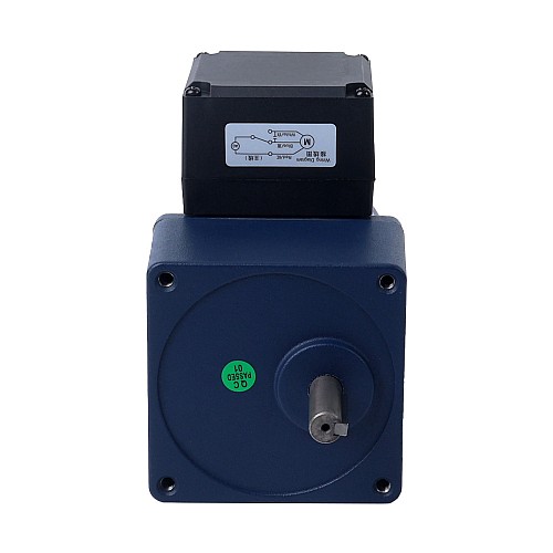 단상 110VAC 25W 60Hz 플랜지 80mm 기어비 10:1 스퍼 기어박스 AC 유도 전동기