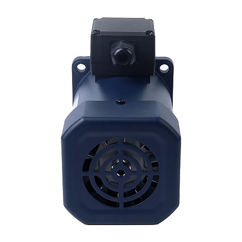 단상 110VAC 200W 60Hz 플랜지 104mm 기어비 20:1 스퍼 기어박스 AC 유도 전동기