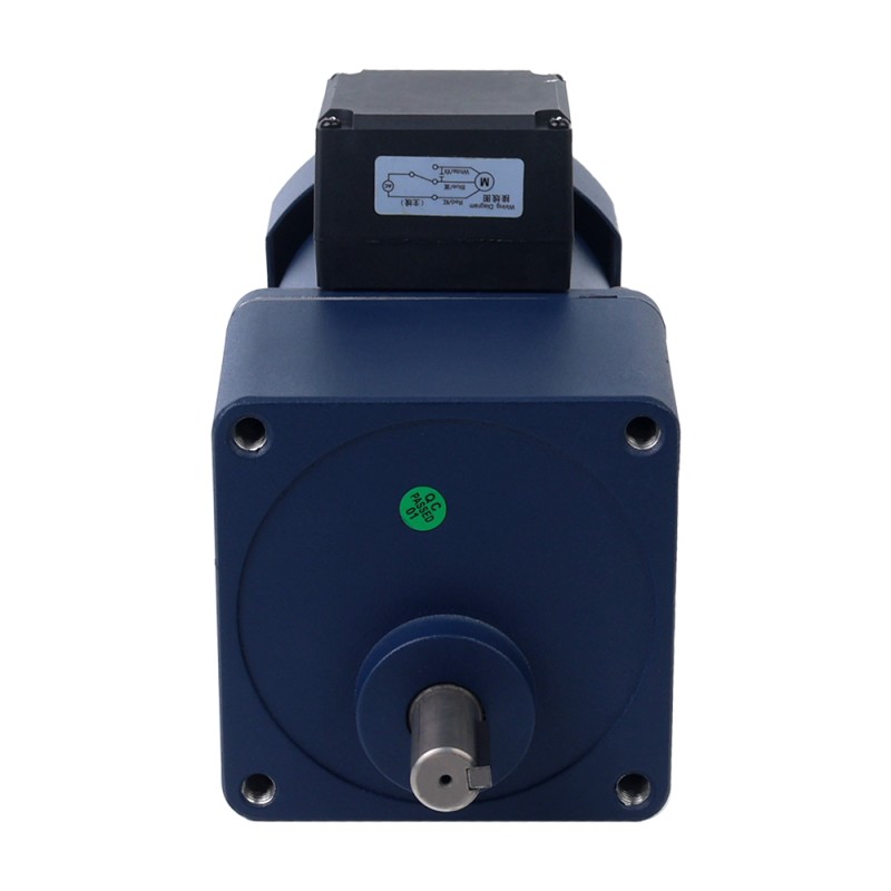 단상 220VAC 200W 50Hz 플랜지 104mm 기어비 5:1 스퍼 기어박스 AC 유도 전동기