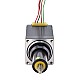 NEMA 11 내부 Acme 선형 스테퍼 모터 1.0A 46mm 길이 리드 2.54mm(0.1) 이동 거리 25.4mm NEMA 11 내부 Acme 선형 스테퍼 모터 1.0A 46mm 길이 리드 2.54mm(0.1) 이동 거리 25.4mm
