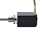 NEMA 11 외부 볼 나사 선형 스테퍼 모터 1.0A 46mm 스택 나사 리드 2mm(0.07874) 리드 길이 150mm NEMA 11 외부 볼 나사 선형 스테퍼 모터 1.0A 46mm 스택 나사 리드 2mm(0.07874) 리드 길이 150mm