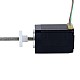NEMA 11 외부 Acme 선형 스테퍼 모터 1.0A 46mm 스택 나사 리드 2.54mm(0.1) 리드 길이 250mm - 11E18S1004GD5-250RS | StepperOnline